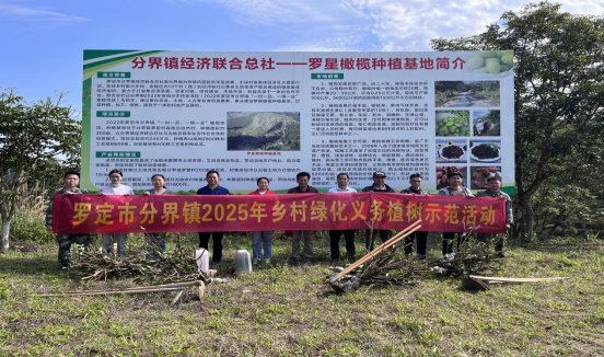 罗定市分界镇：科技赋能育良种 产业升级拓新途
