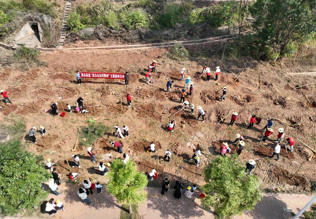 罗定市双东街道开展“我为全运种棵树”主题植树活动
