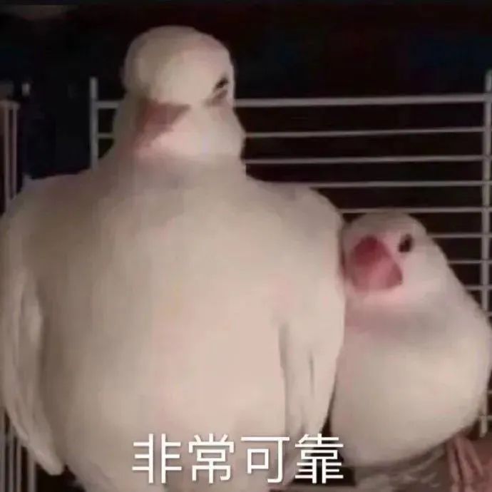 粤省事_20230810_113933.jpg