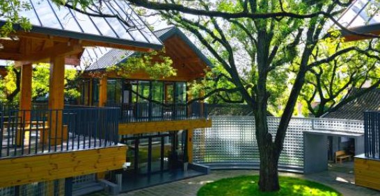 乡村+美学=？广东正在做这件事