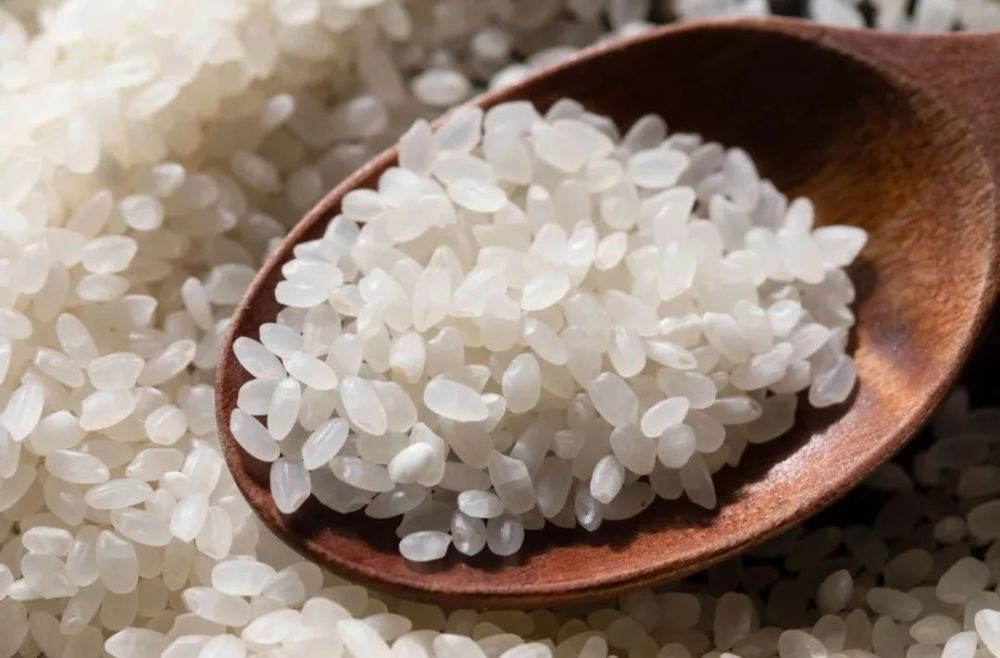 （需要选择更有粘性的珍珠米，水滚后白米下锅，煮到米粒爆开又不至于溶化，静置时可见水米分离，才算得上是正宗白糜。）