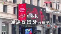 广东荔枝邂逅“欧洲之门”马德里,点燃夏日激情 广东荔枝邂逅“欧洲之门”马德里,点燃夏日激情