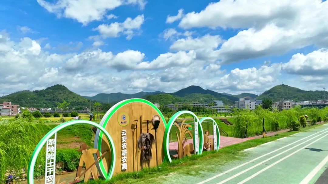 聚焦“百千万工程”丨云安区高村镇高村村：串珠成链培育典型村 推动农文旅融合发展