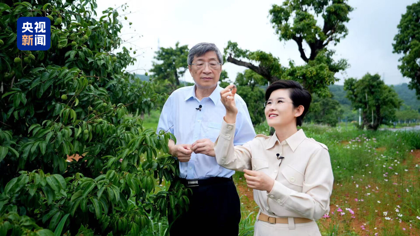  安徽启动百家“食安名坊”培育行动