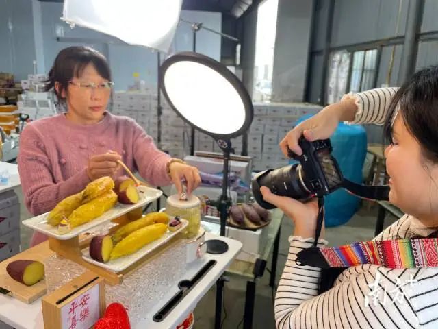 濠江：村企雙向奔“富”謀振興