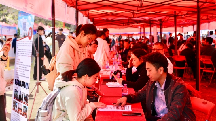 东莞教育、卫健系统放出近400个岗位，均带编制｜在+求职