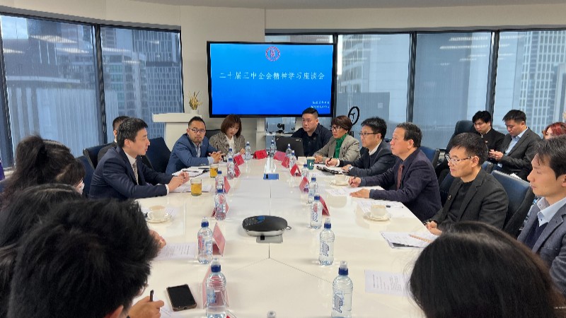 海外粤商热议中国共产党二十届三中全会——心向祖国 乘风奋进