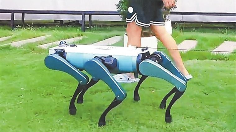 Dobot unveils six-legged robotic dog suitable for multiple scenarios