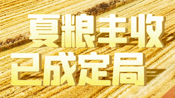 大国“粮”策|夏粮丰收有“数” 政策支持有“方” 大国“粮”策|夏粮丰收有“数” 政策支持有“方”