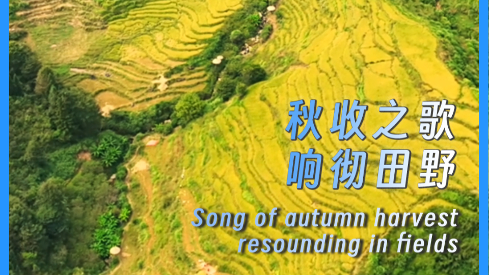 Song of autumn harvest resounding in fields