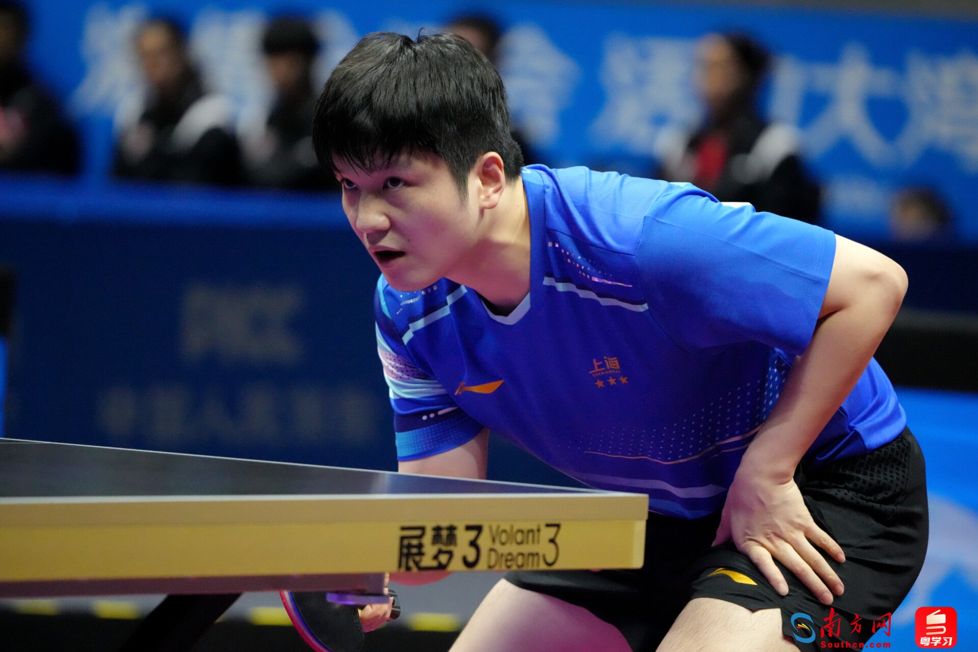 樊振东在比赛中。