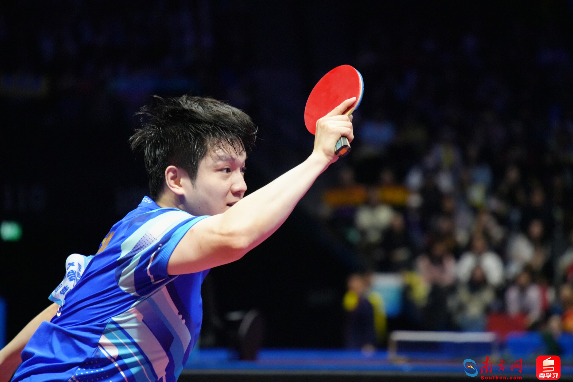 樊振东在比赛中。