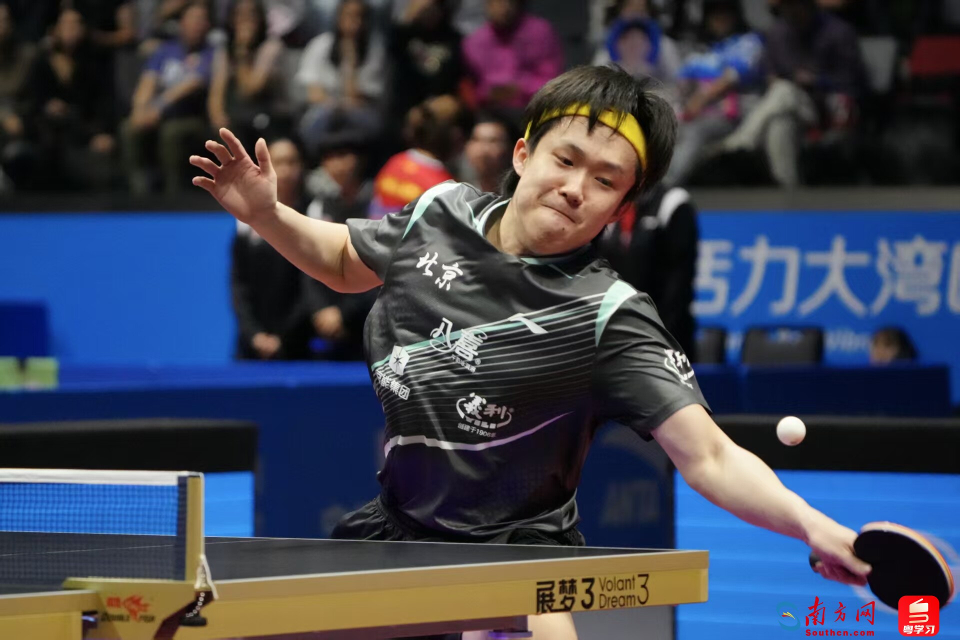 王楚钦在比赛中。