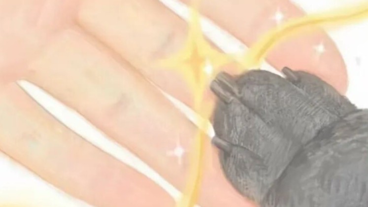 中央美术学院学生涉嫌抄袭还获奖学金，校方通报→