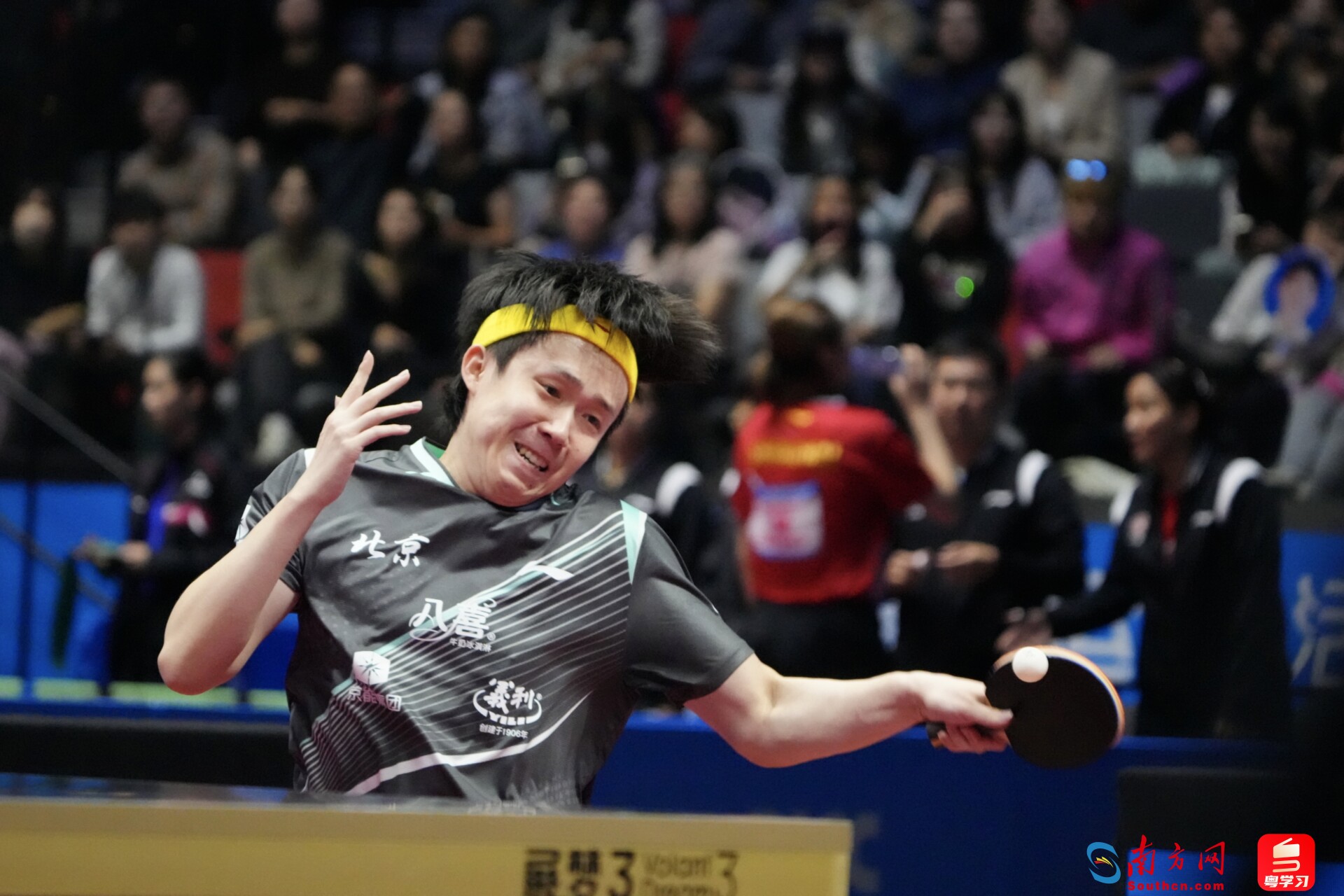 王楚钦在比赛中。