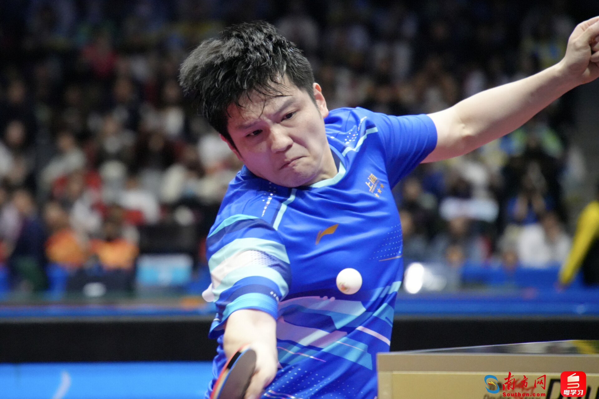 樊振东用力接球。