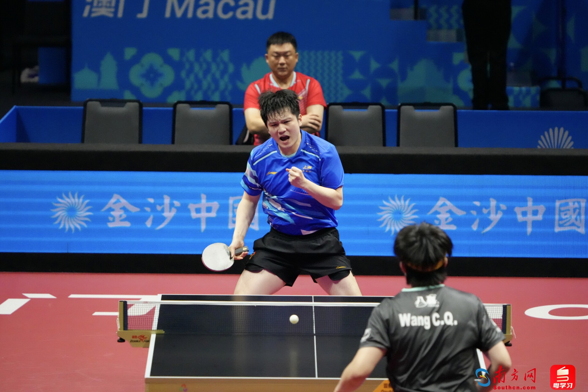 樊振东赢下一球后欢呼。