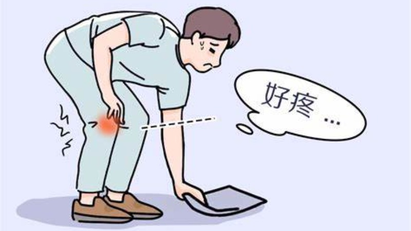 健康中国丨重阳登高日 且行且珍“膝”