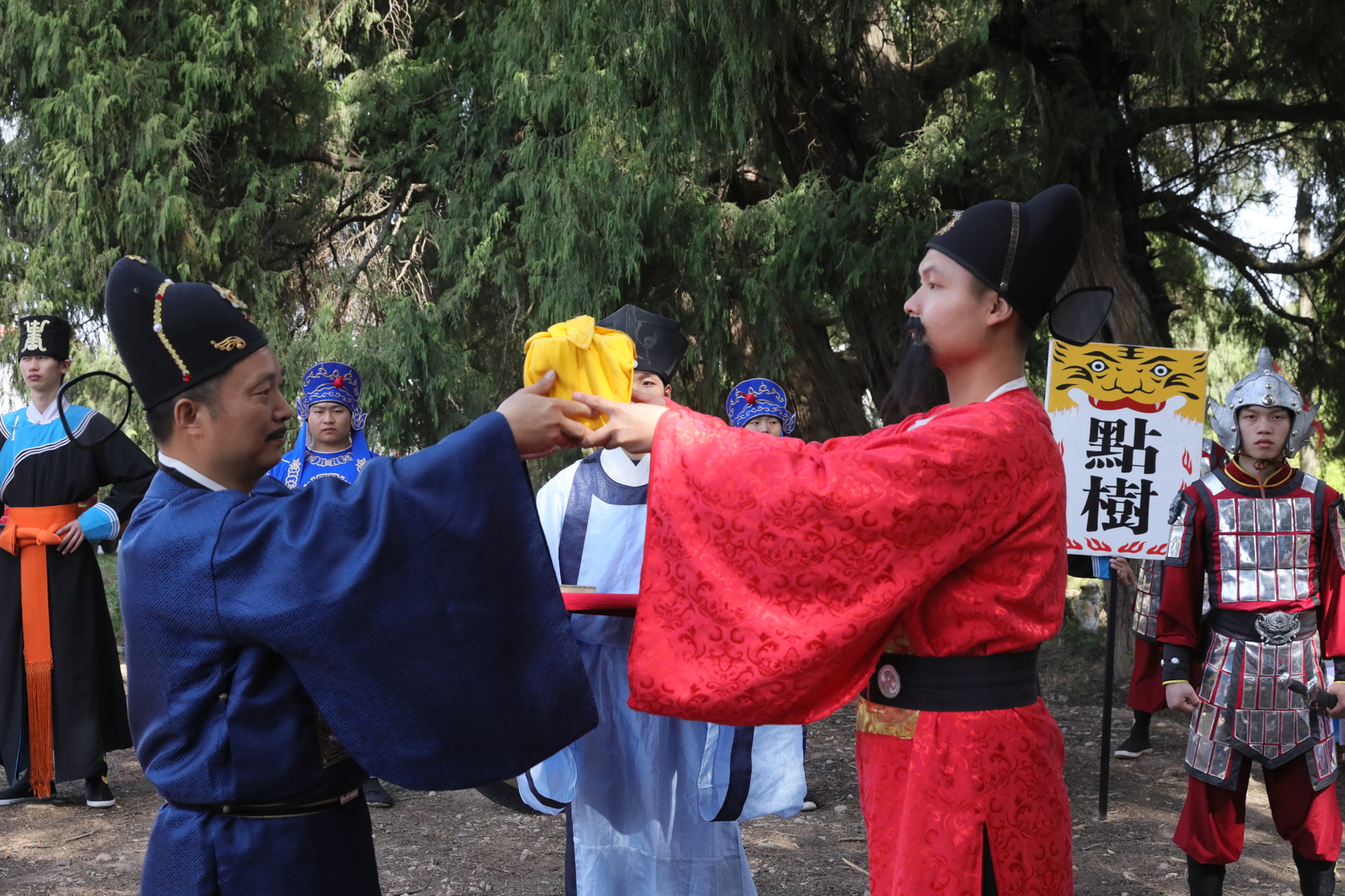 翠云廊景區(qū)的《點(diǎn)樹交印》沉浸式演出。廣元觀察 高志農(nóng) 攝