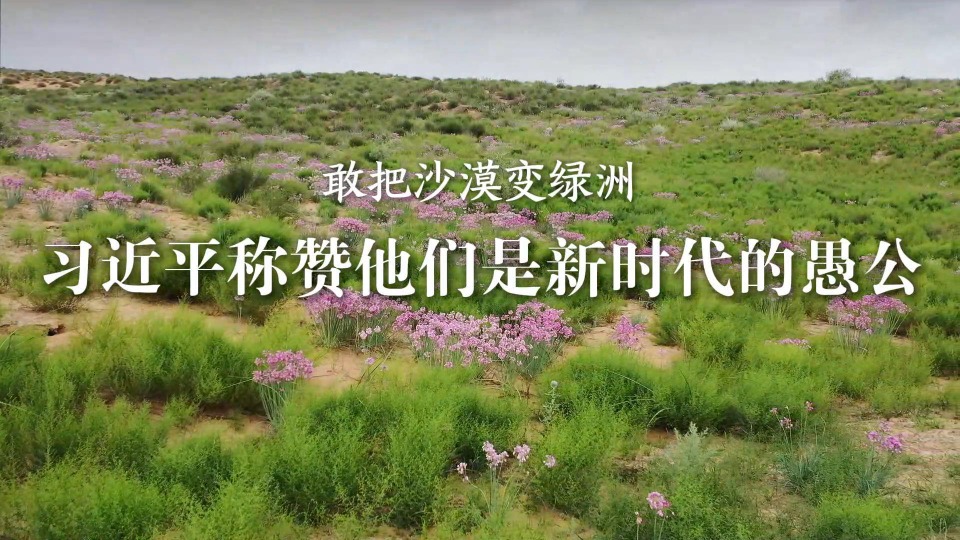 学习·故事丨敢把沙漠变绿洲 习近平称赞他们是新时代的愚公