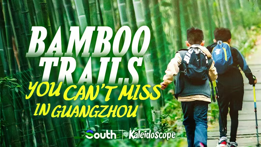 Bamboo trails you can't miss in Guangzhou