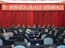 广东代表团举行全体会议审议政府工作报告 李希王伟中黄楚平发言 广东代表团举行全体会议审议政府工作报告 李希王伟中黄楚平发言