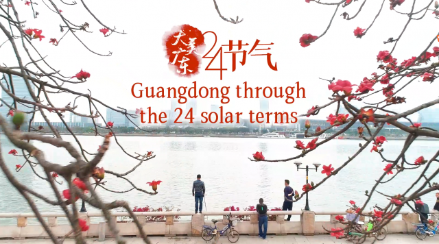 Beautiful Guangdong through the 24 solar terms