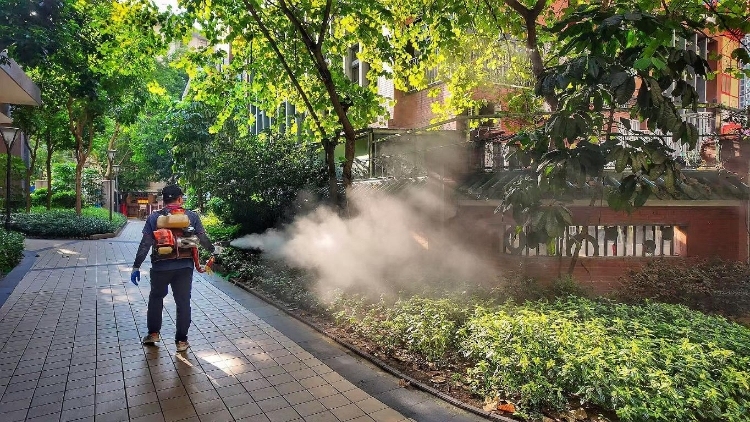 广东基孔肯雅热本地一周零新增，系连月来首次