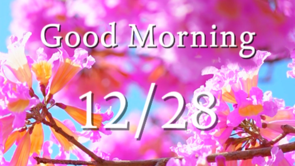 Morning breeze brings scent of blossoms to you