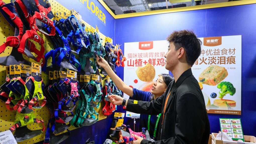 China's 2025 consumption keywords highlight fresh upgrading in super-large market