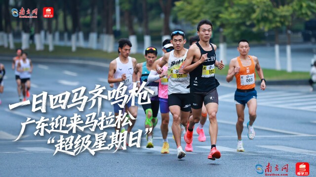 一日四马齐鸣枪 广东迎来马拉松“超级星期日”