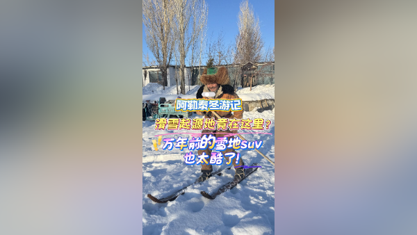 人类滑雪起源地竟然在这里！古老的“雪地SUV”也太酷了｜阿勒泰冬游记