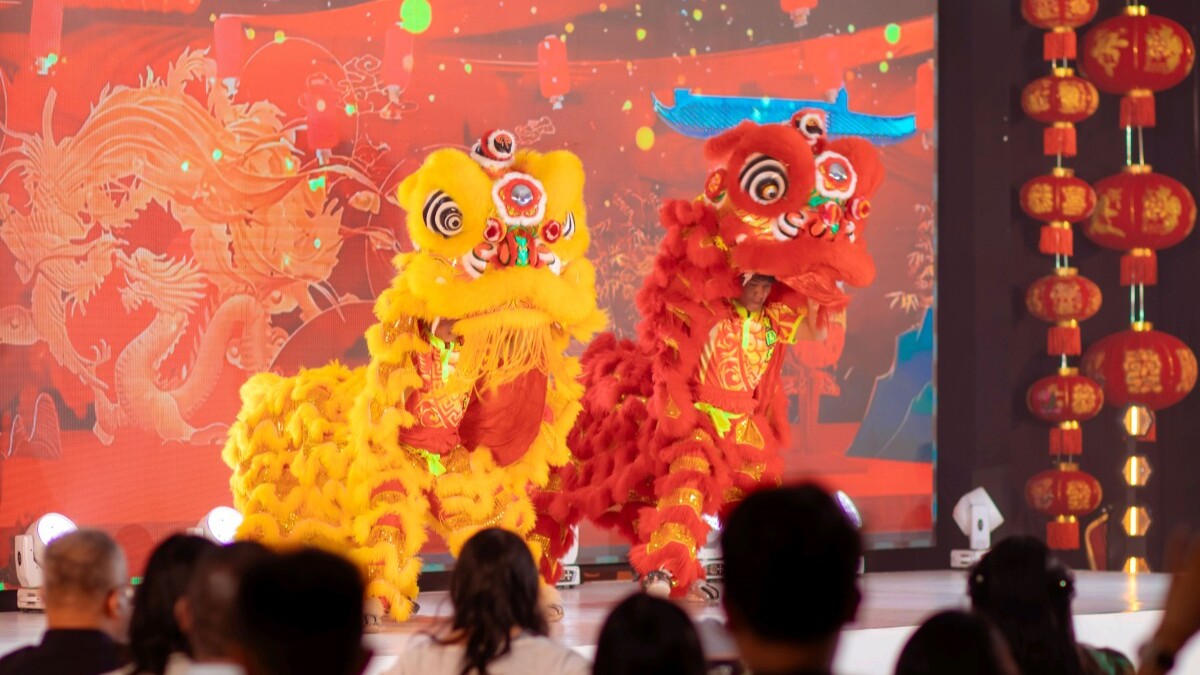 Dragon and lion dances from Foshan liven up Uganda