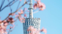 首次提出!广东奋力建设旅游业高质量发展示范省 首次提出!广东奋力建设旅游业高质量发展示范省