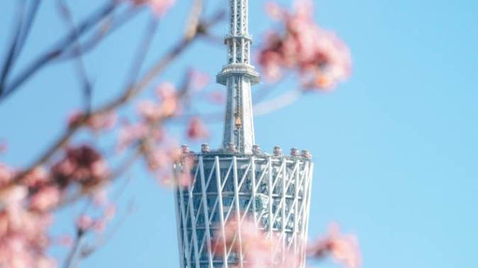 高质量 挑大梁——广东高质量发展特别报道（典藏版）