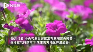 冷空气带来大幅降温！广州秋风瑟瑟凉意升级