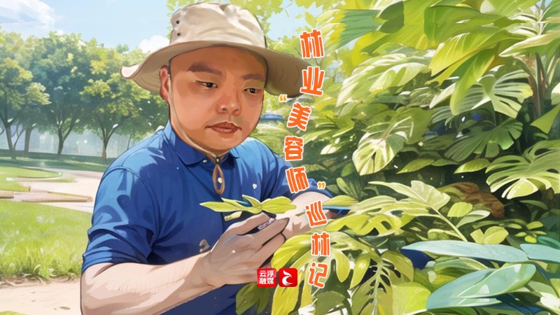 【新时代新征程新伟业】高质量发展的“云浮脉动” | 这个夏日，“我们”记录发展新故事⑨