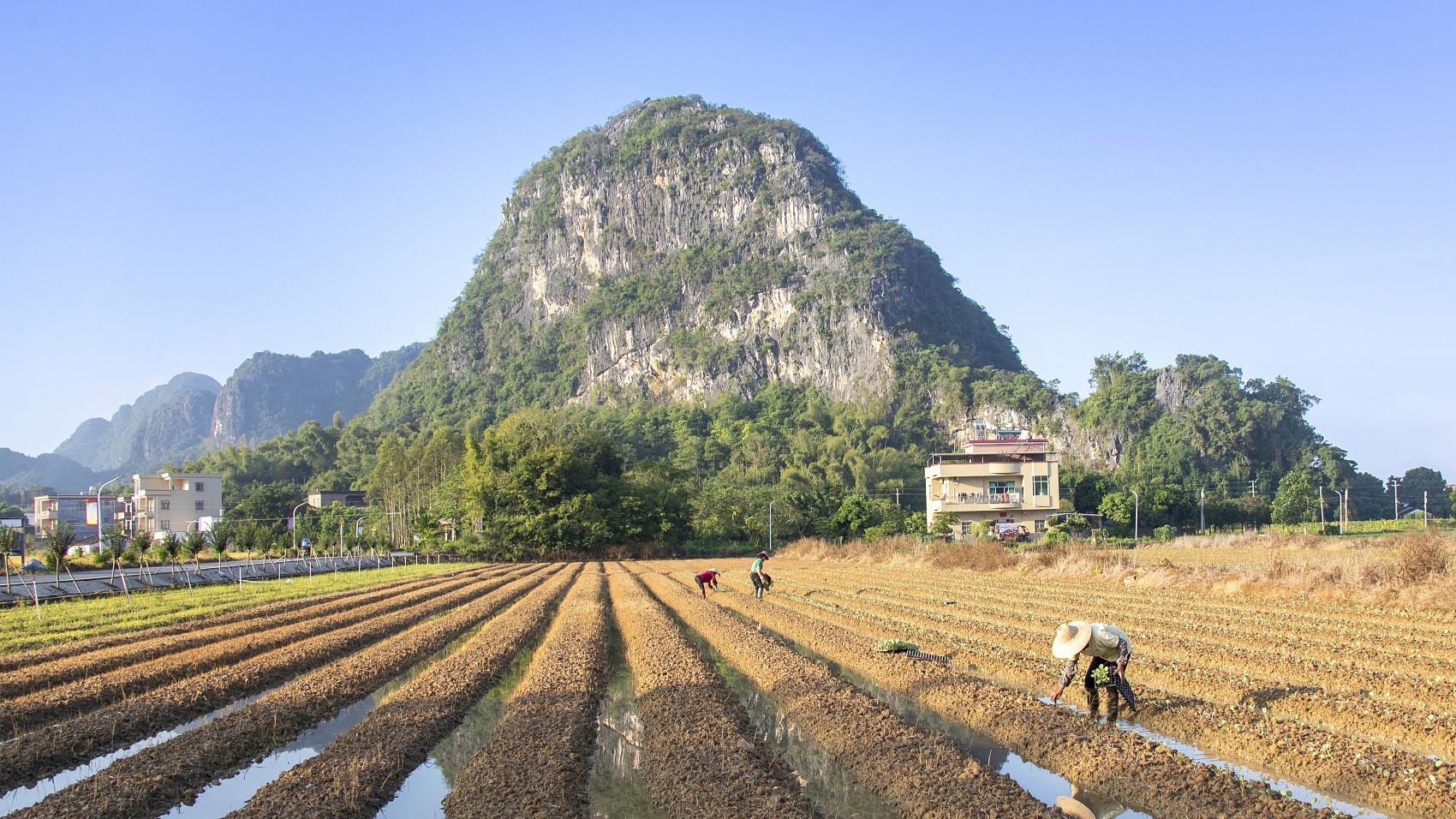 两会微观：强县促镇带村，点燃广东高质量发展新引擎