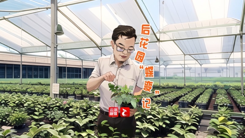 【新时代新征程新伟业】高质量发展的“云浮脉动” | 这个夏日，“我们”记录发展新故事⑩