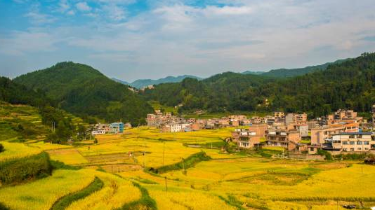 航拍连南大古坳村，秋分两色、梯田披金