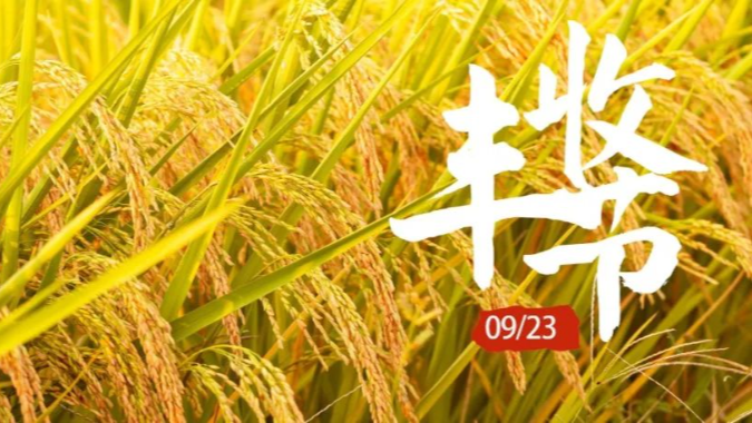 又是一年好“丰”景！愿所有努力都有所收获