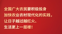 习言道|“让广大农民生活芝麻开花节节高” 习言道|“让广大农民生活芝麻开花节节高”