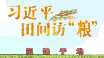 绘学习|习近平田间访“粮” 绘学习|习近平田间访“粮”