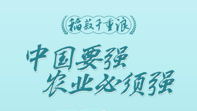 稻菽千重浪丨中国要强，农业必须强