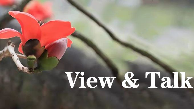 【View & Talk】最高检调研组在广东检察机关调研