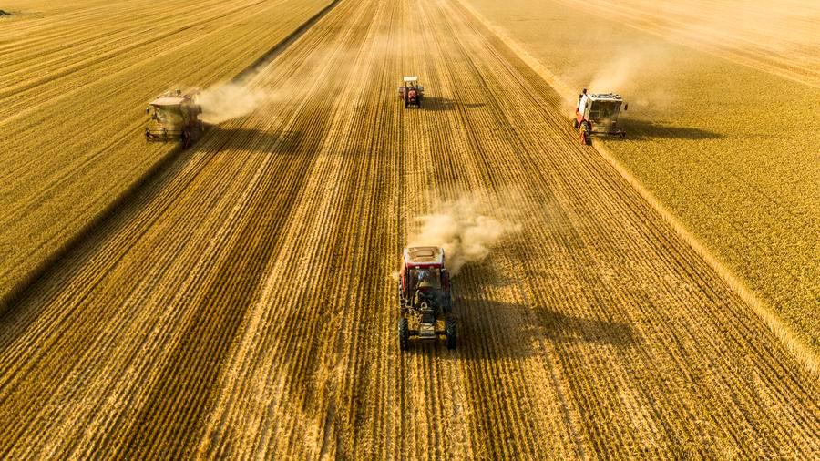 Tech-driven rural revitalization takes roots across China