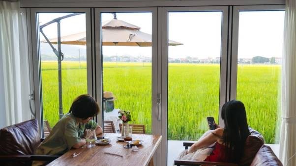 跨年连品4天！中山首届“百千万工程”乡村咖啡节来了