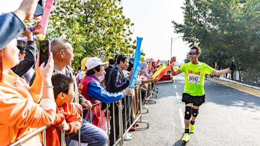 2026年元旦第一浪！来顺德解锁“寻味 + 漫游”双buff，烦恼全清零