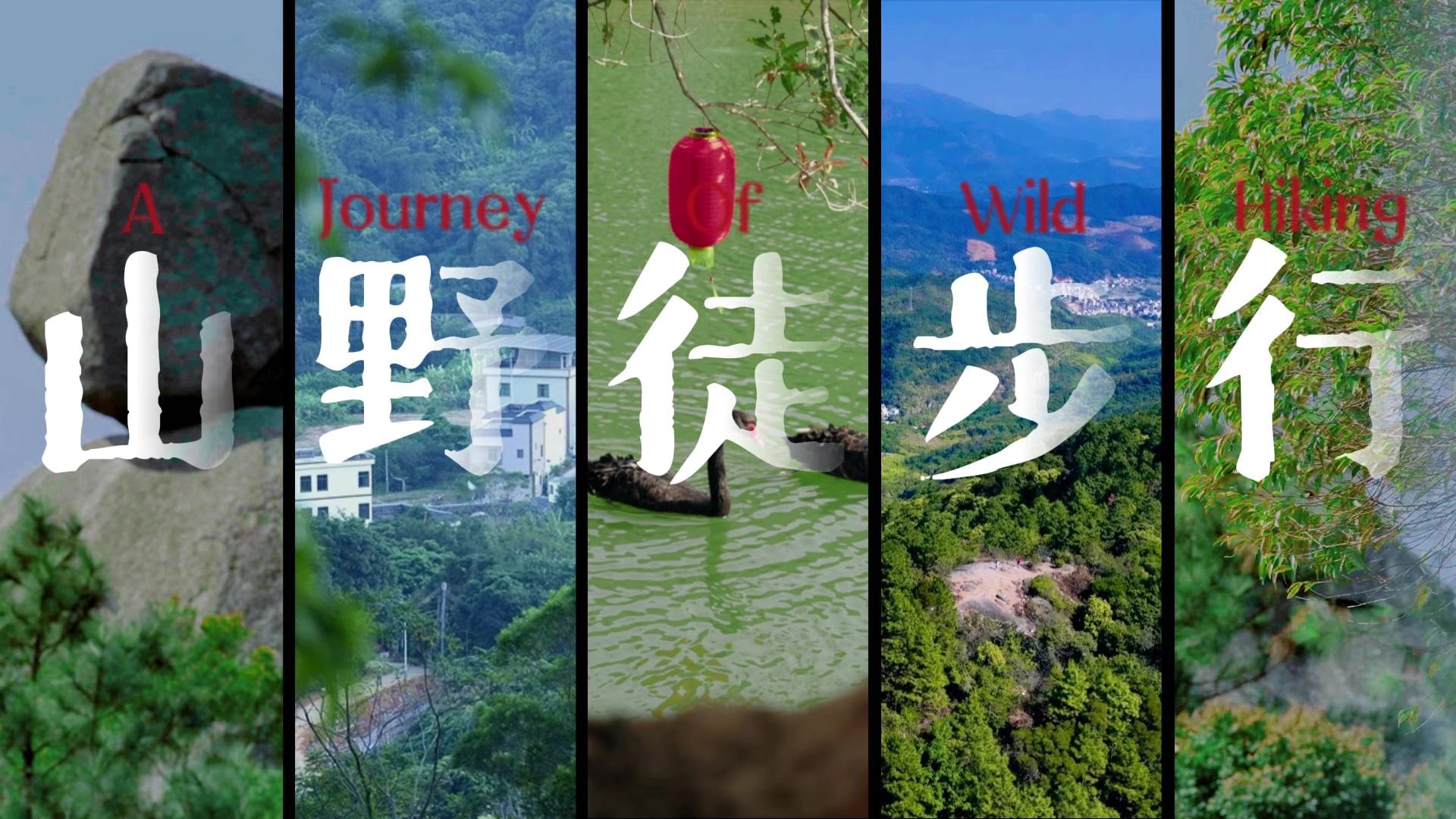 Take a hiking trip to Maoming's "natural oxygen bar"