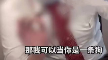 旅客遭新加坡柜台人员辱骂“是狗”?南航致歉 旅客遭新加坡柜台人员辱骂“是狗”?南航致歉